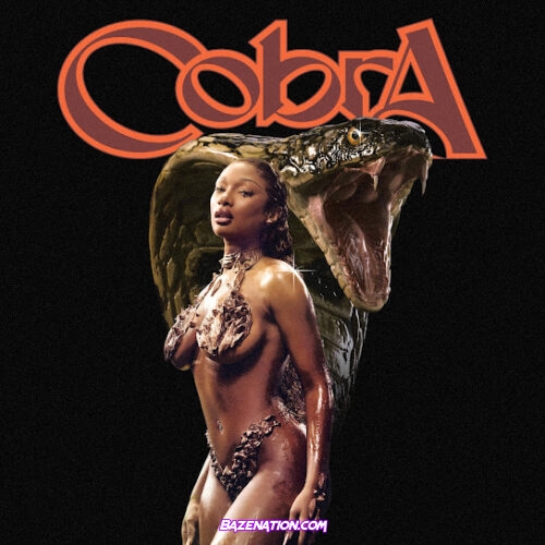 Megan Thee Stallion - Cobra