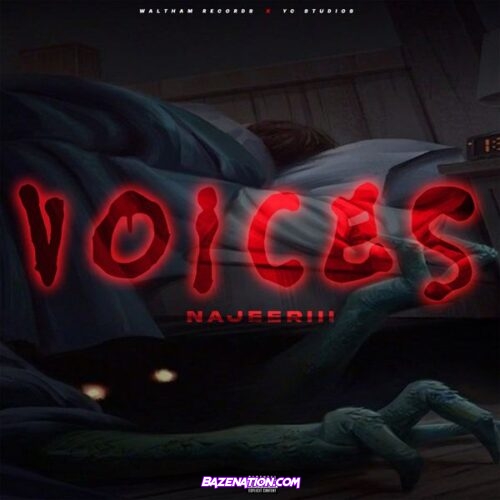 Najeeriii - Voices