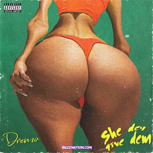 Dremo - She Dey Give Dem