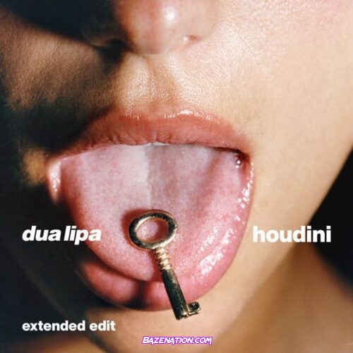 Dua Lipa - Houdini (Extended Edit)