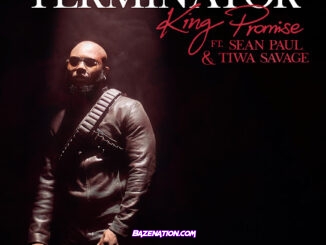 King Promise - Terminator (Remix) (feat. Sean Paul & Tiwa Savage)