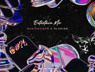 Magicsticks - Entertain Me (feat. Olamide)