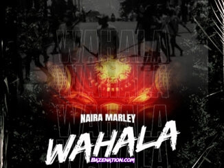 Naira Marley - Wahala