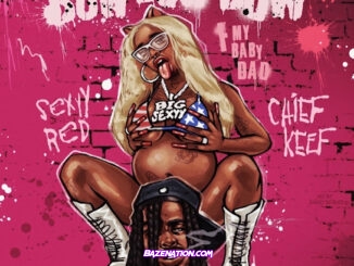 Sexyy Red - Bow Bow Bow (F My Baby Dad) (feat. Chief Keef)