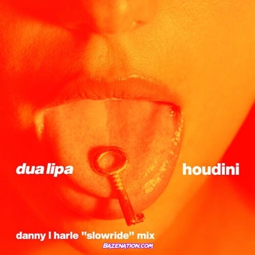 Dua Lipa - Houdini (Danny L Harle Slowride Mix)