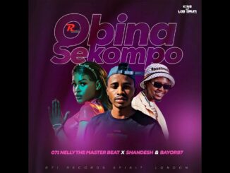 Nelly The MasterBeat - O Bina Sekompo (feat. Shandesh & Bayor97)