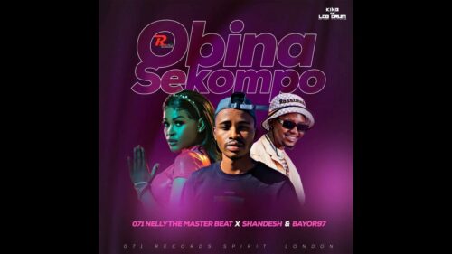 Nelly The MasterBeat - O Bina Sekompo (feat. Shandesh & Bayor97)