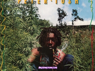 Peter Tosh - Legalize It