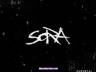 Phora - sora