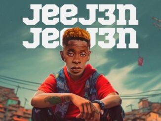 Shatta Wale - Jee Jen (Getout)