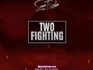 Sean Tizzle - Two Fighting