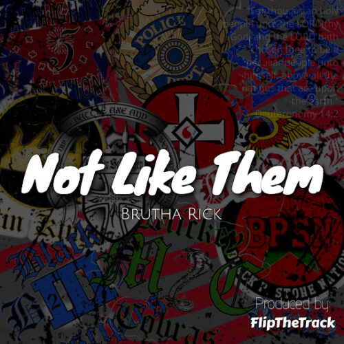 Brutha Rick - Not Like Them