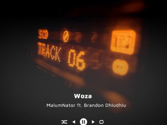 MalumNator - Woza (feat. Brandon Dhludhlu)