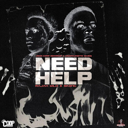 Skeng - Need Help Ft. Rajah Wild & John Coop