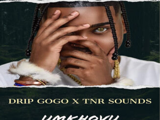 Drip Gogo - uMkhovu (feat. TNR Sounds)