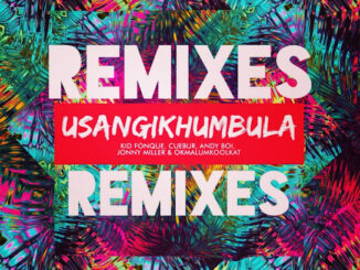 Kid Fonque - Usangikhumbula Ft. Cuebur, Andyboi, Jonny Miller & And Okmalumkoolkat