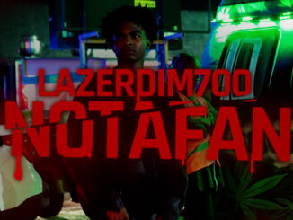 LAZER DIM 700 - Not a fan