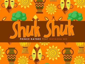 Prince Kaybee - Shuk Shuk Ft. Natasha MD