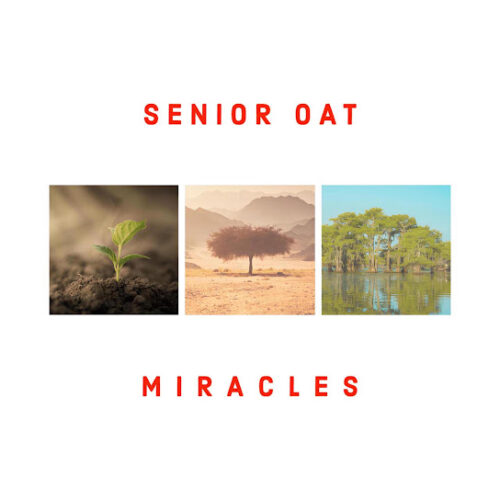 Senior Oat Reason To Pray MP3 Download