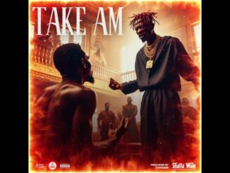 shatta wale - Take Am