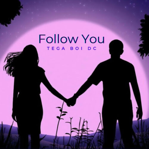 Tega Boi Dc - Follow You