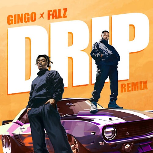 GINGO - Drip (Remix) Ft. Falz