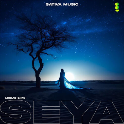 Morad - Seya Ft. Gims & Sativa Music