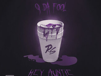 Q Da Fool - Hey Auntie