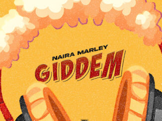 Naira Marley - Giddem