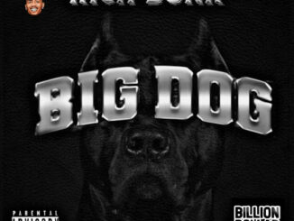 Rich Dunk - Big Dog