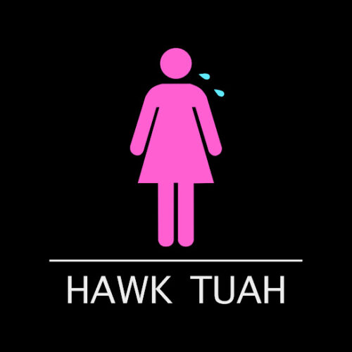 ANTH - Hawk Tuah Ft. Conor Maynard & Corey Nyell