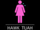 ANTH - Hawk Tuah Ft. Conor Maynard & Corey Nyell