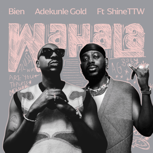 Bien - Wahala (feat. Adekunle Gold & ShineTTW)