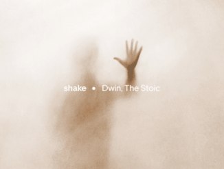 Dwin - Shake Ft. The Stoic