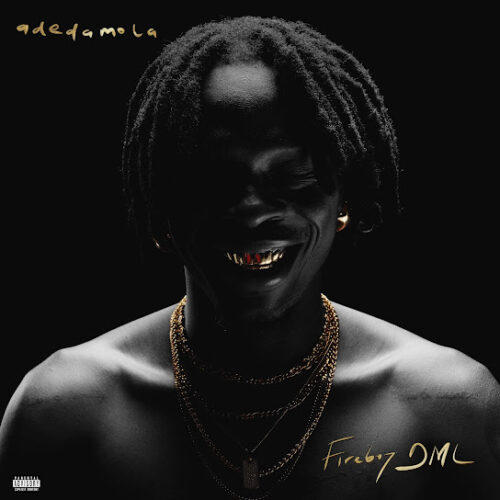 Fireboy DML call me MP3 Download