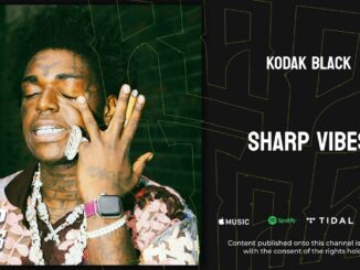 Kodak Black - Sharp Vibes