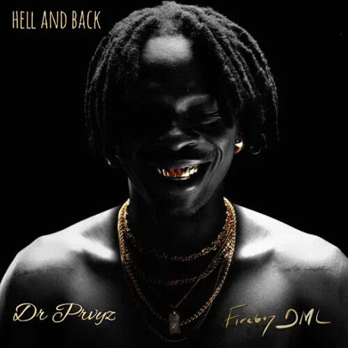 Fireboy DML - hell and back (Dr Prvyz Remix)